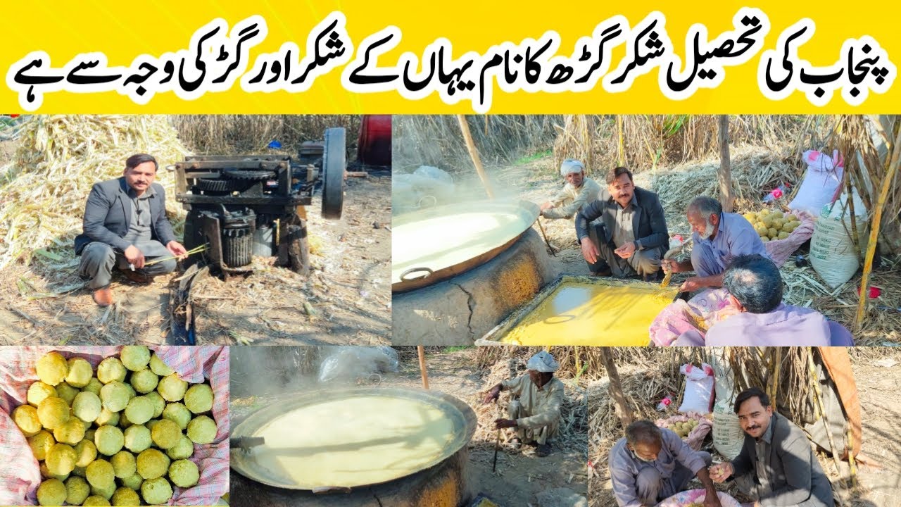 Pakistan Punjab Ki | Tehsil Shakargarh Ka Naam | Yahan Ke Shakar aur Gurh Ki | Waja Se Parha Hai