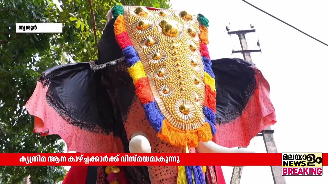 ഈ ഗജവീരനെ പേടിക്കേണ്ട ! കൂടെ നിന്ന് സെൽഫിയെടുക്കാം | Thrissur |