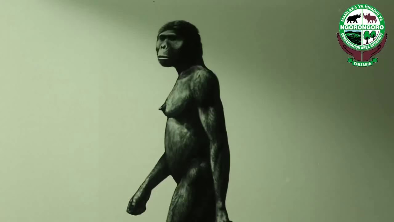 Olduvai Gorge Ngorongoro