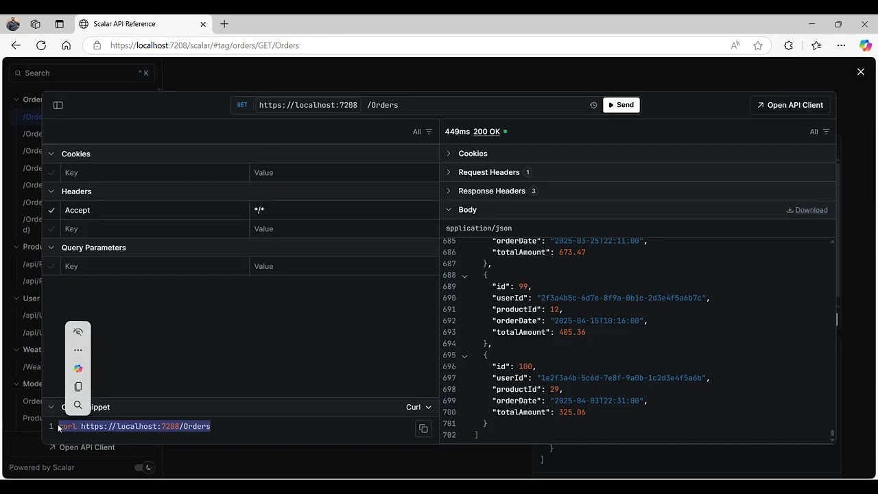 How to use Scalar in&nbsp;.net core APIUsinh