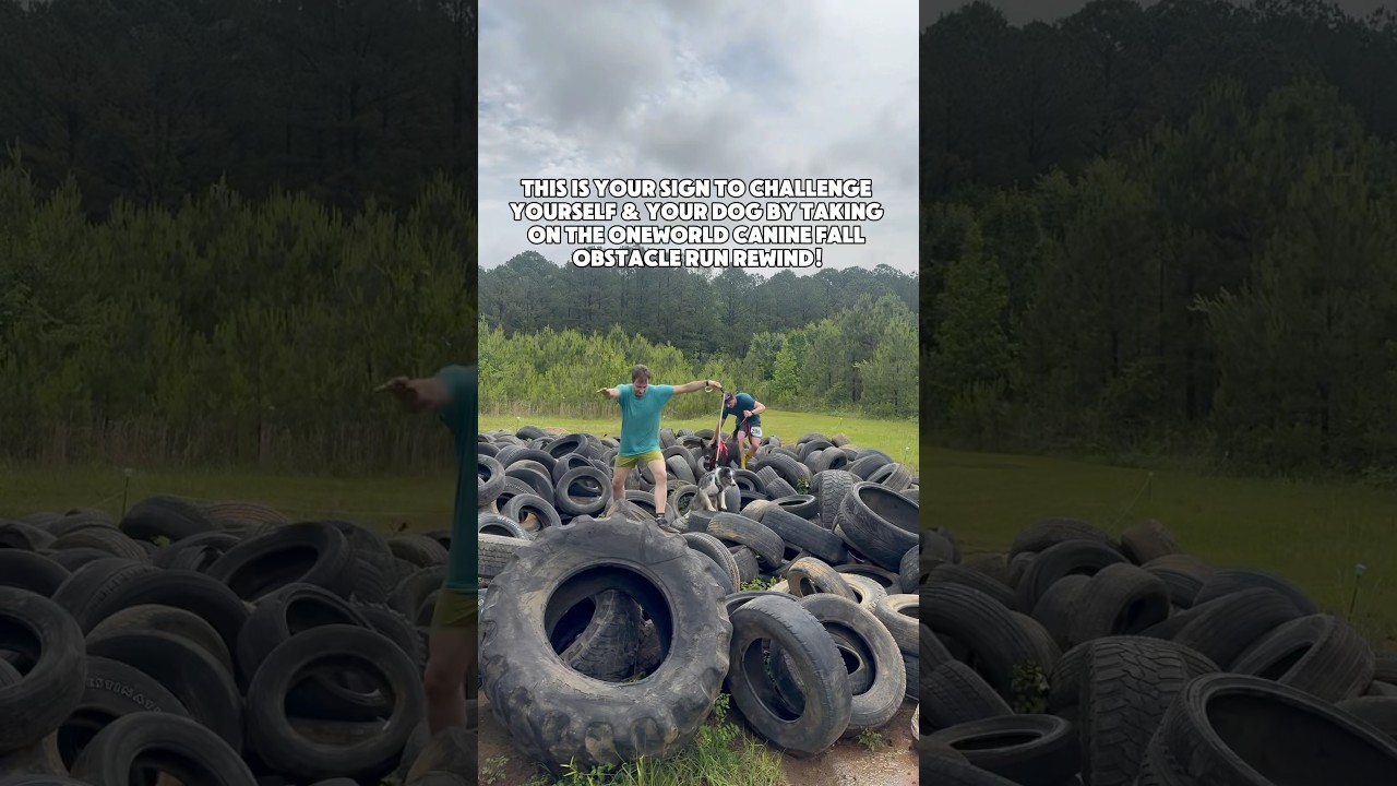This is YOUR sign to challenge yourself & your dog to the OneWorld Canine Fall Obstacle Run!&hellip;
