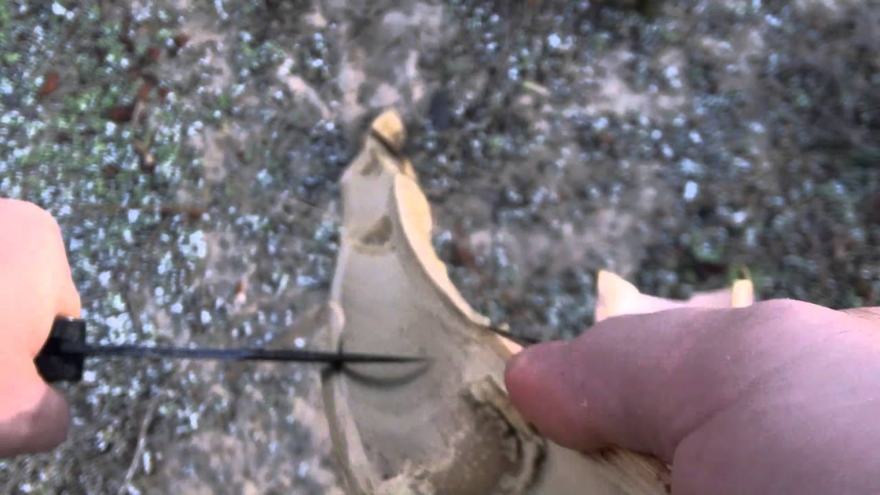 Bamboo Fire Saw Tutorial: Primitive Friction Fire