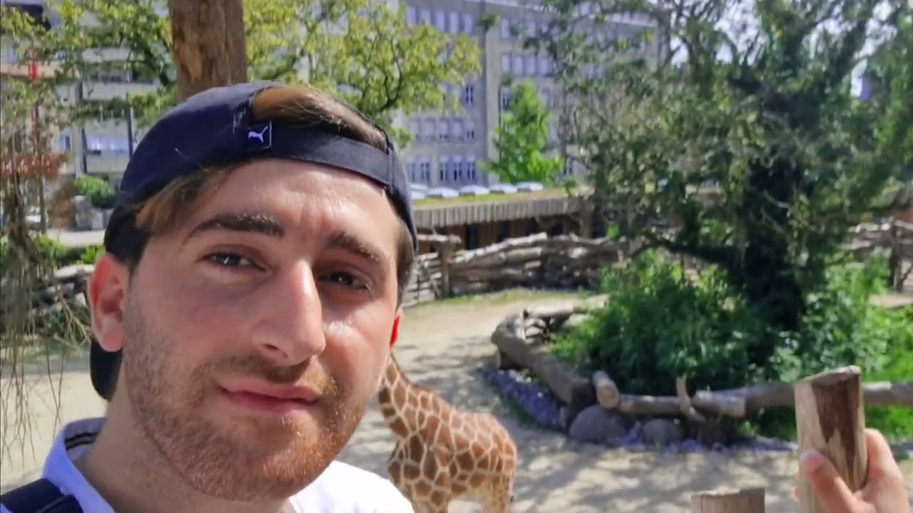 #zoo #karlsruhe حديقة الحيوان في ألمانيا