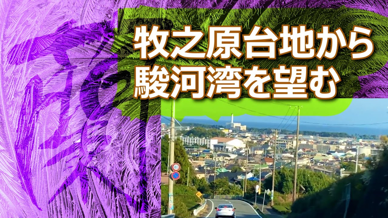 【牧之原台地から駿河湾を望む】