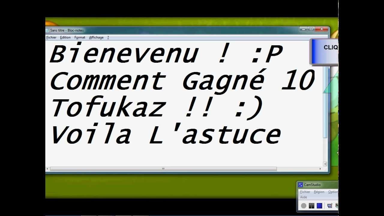 [DOFUS] 19 octobre x2 Tofukaz