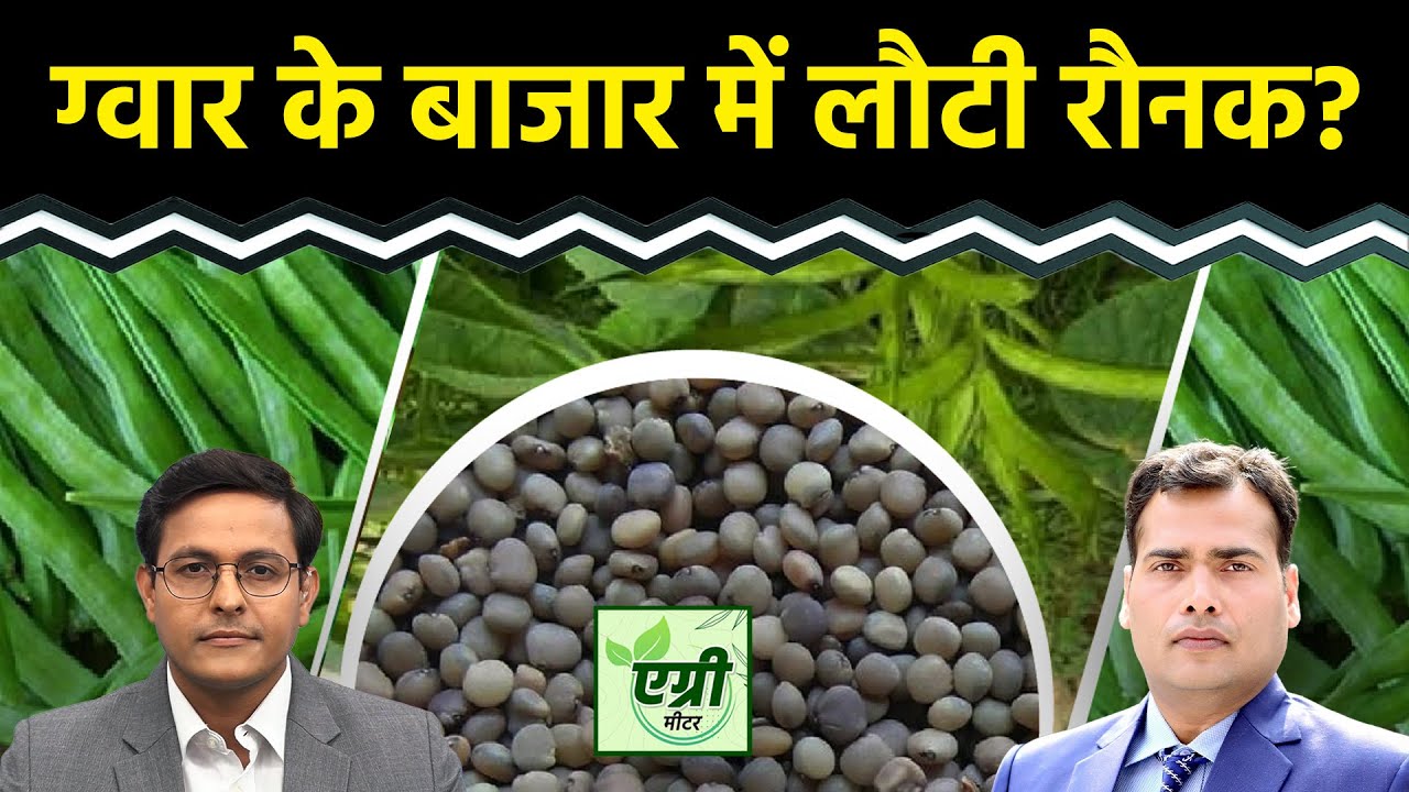 Commodity Market : टेक्निकल चार्ट पर Guar Seed और Guar Gum में क्या लग रहा है?NCDEX | Agri Commodity