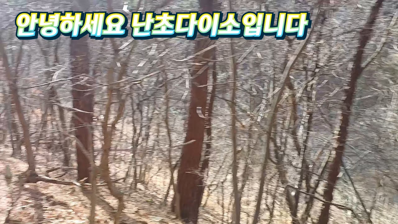 12월30일(수요일) 멋진. 산채품. 만나보세요 