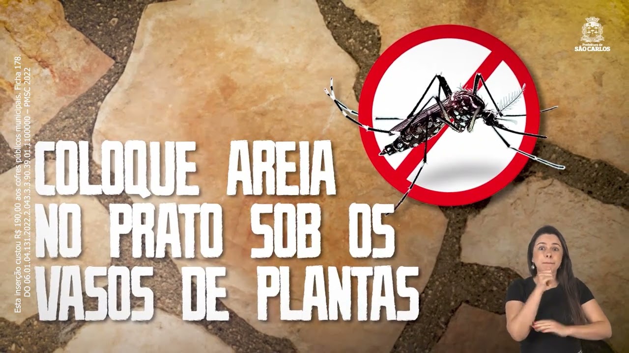 JornalPP - Dengue