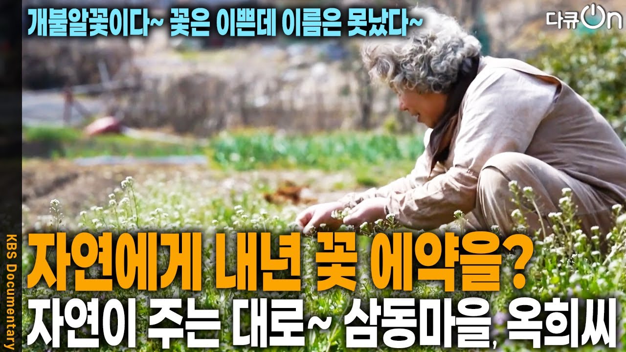 자연에서 먹고 입고 살기위해 여전히 시간을 들이고 있다! 삼동마을에서의 32년. 7년 만에 다시 찾아간 옥희씨의 춘하추동 | KBS 20250503 방송