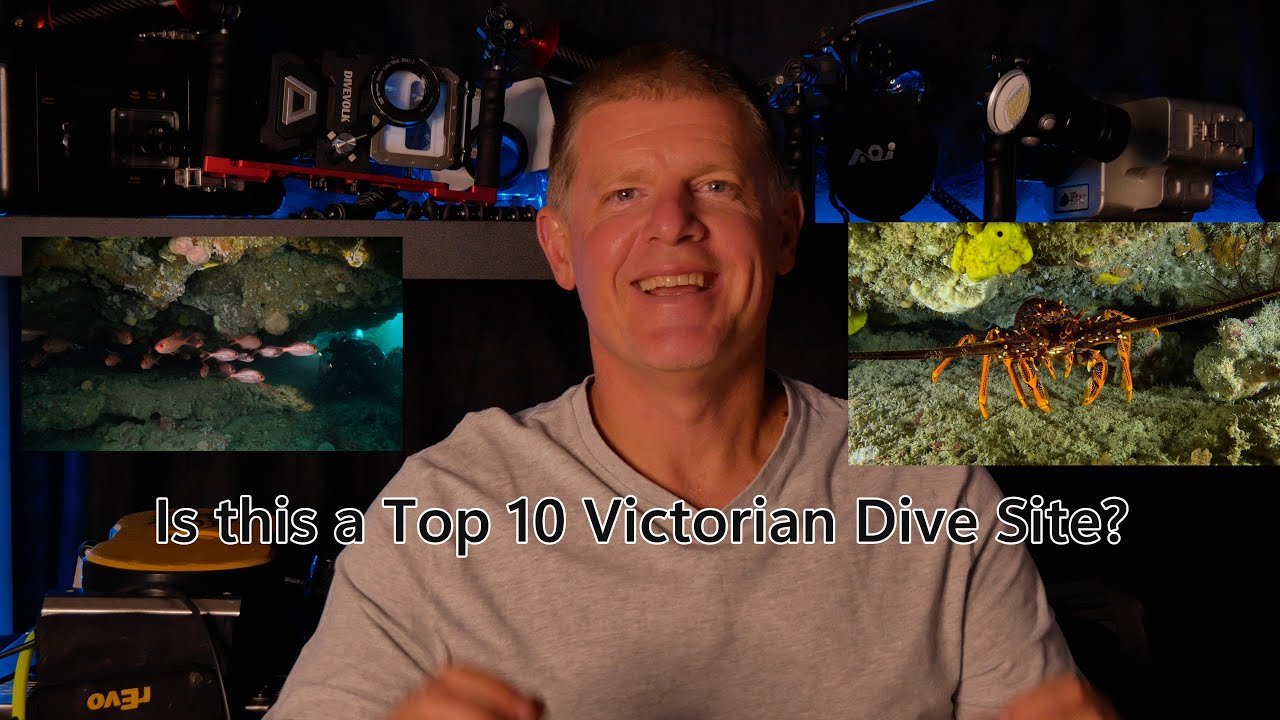 Diving Helen Rock a top 10 Victorian dive site