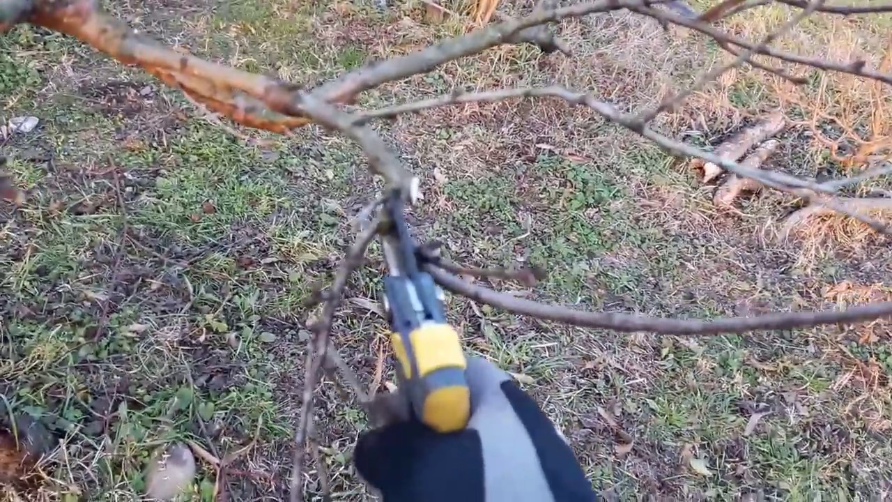 POTATURA PESCO 2017 HD