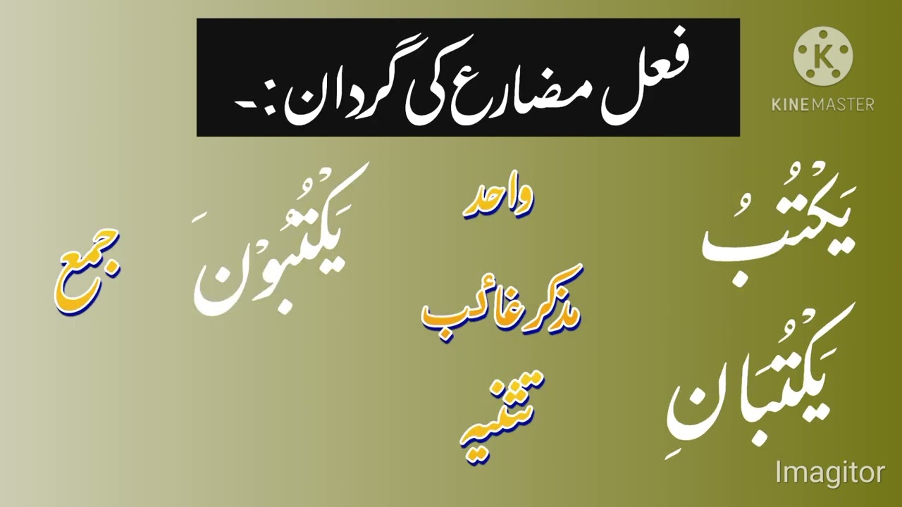 Arabic Present Future Tensea(Gardan)گردان فعل مضارع Gardan Fil Muzare in Urdu /Hindi detailed.