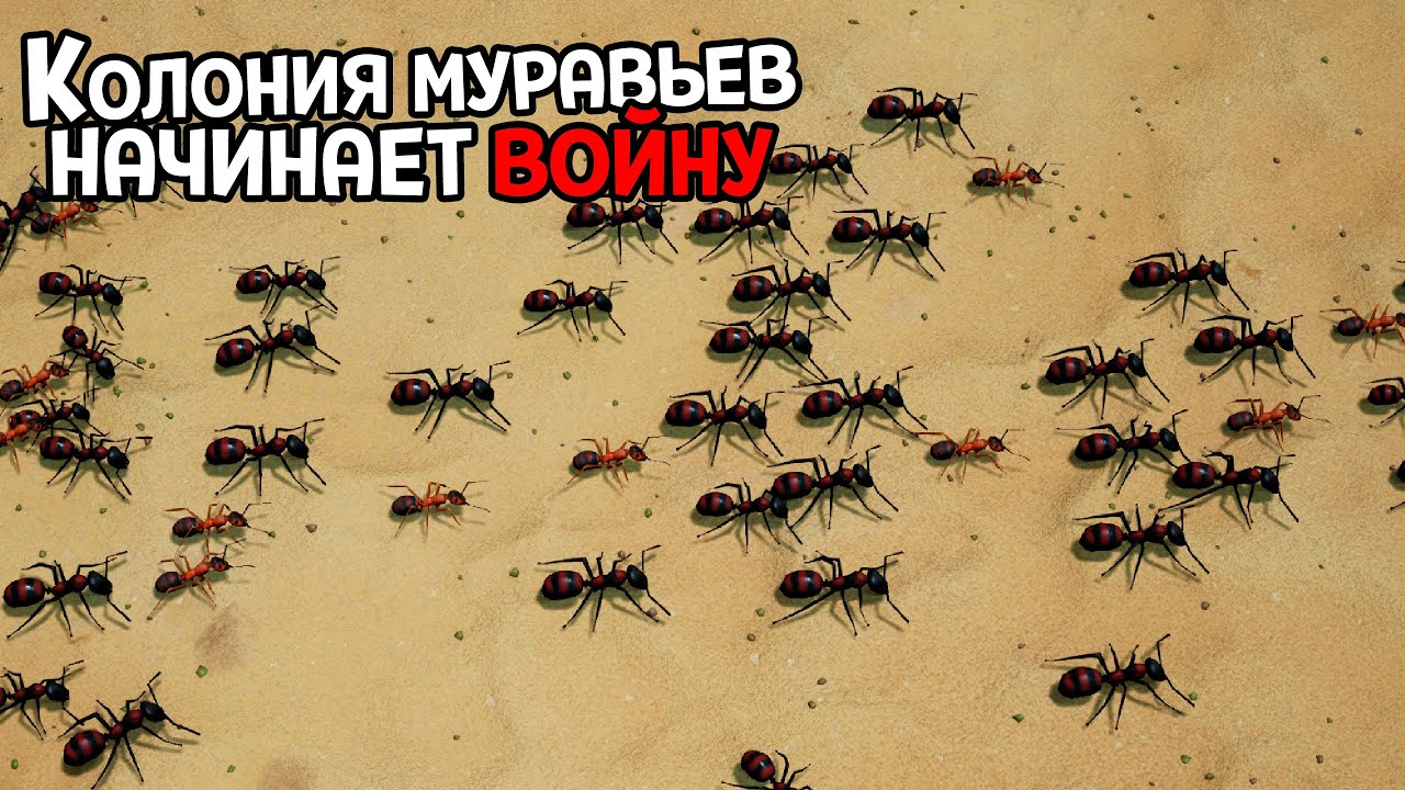 ВСЕ МУРАВЬИ КОЛОНИИ ИДУТ НА ВОЙНУ - Empires of the Undergrowth