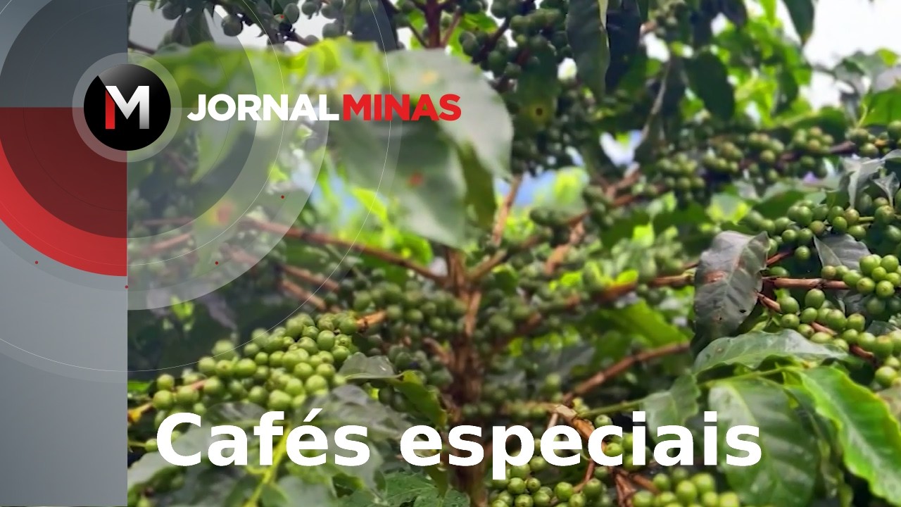 Cafés especiais - Jornal Minas
