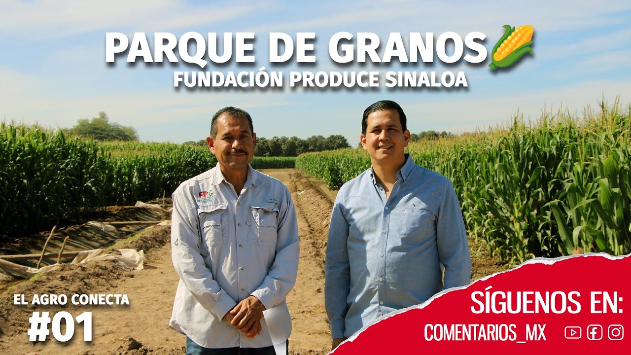 Parque de granos de la FPS | MC. Sergio Ernesto Contreras