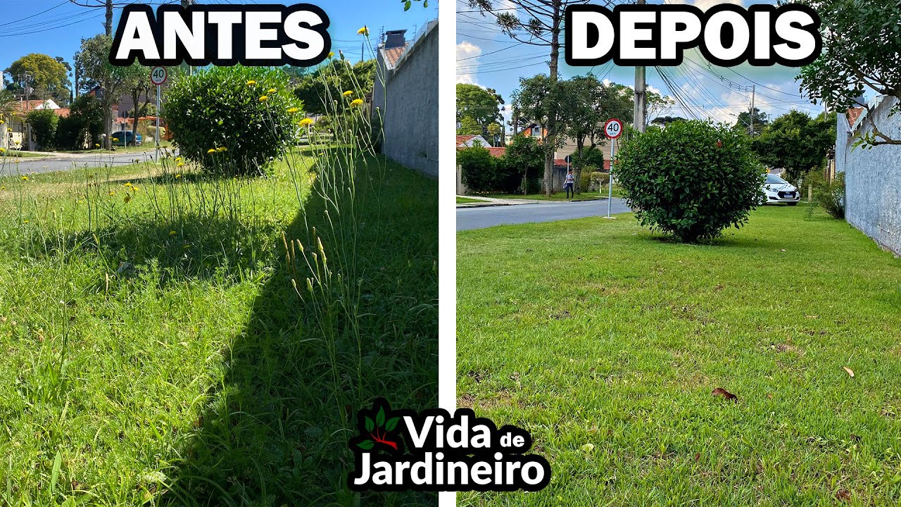 Como acabar com mato na grama | Chega de ervas daninhas | Vida de Jardineiro