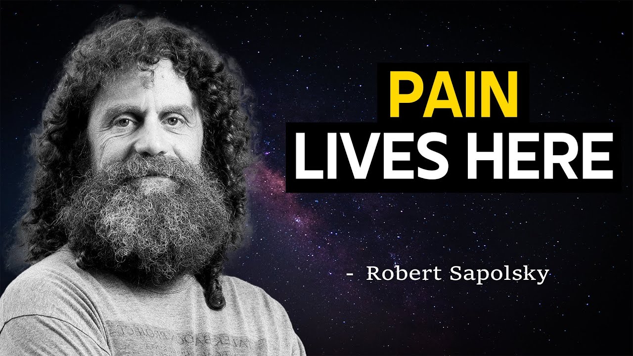 Why Does Heartbreak Hurt Physically? Robert Sapolsky’s Answer Will DESTROY Your Reality