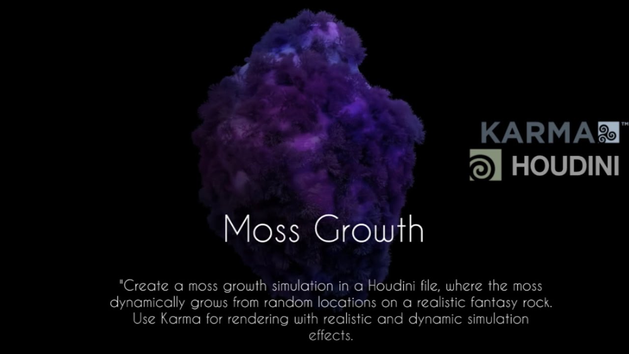 Houdini Moss Growth : KARMA