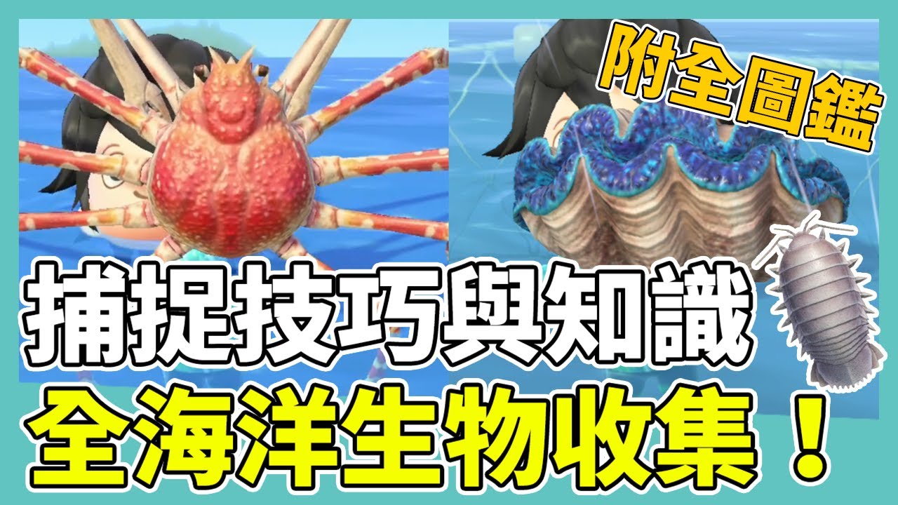 【集合啦！動物森友會】全海洋生物攻略！捕捉技巧解析｜大硨磲、大王具足蟲、高腳蟹｜附全海洋生物圖鑑｜動森攻略