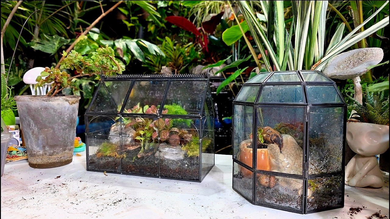 Миниатюрные террариумы-теплицы