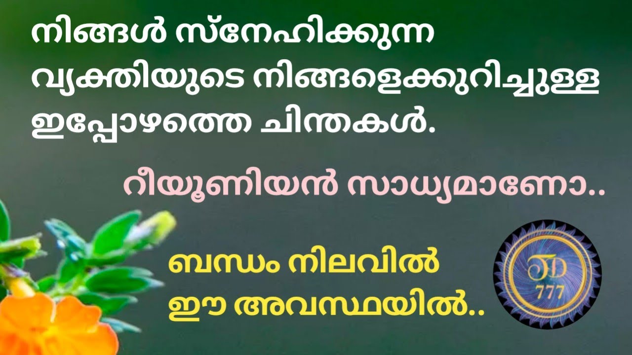 നിങ്ങൾ സ്നേഹിക്കുന്ന വ്യക്തിയുടെ കറൻ്റ് feelings..@tarotdexterity777.