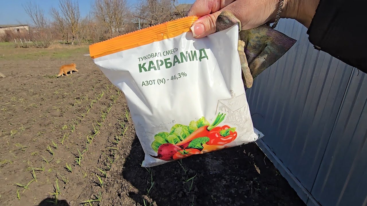 ✨️Где воняет там пахнет✨️Готовим огород к посадкам ✨️Удобрила чеснок,лук,клубнику✨️