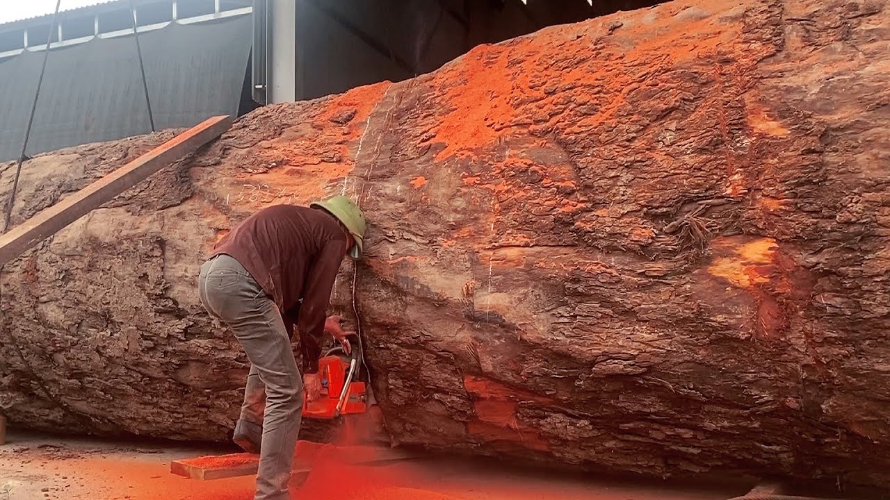 Factory Monster // Biggest Lumber Project // 3000 Year Old Tree