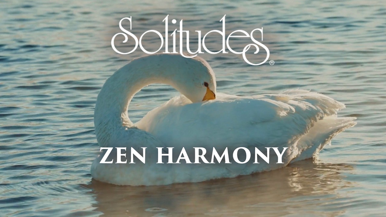 Dan Gibson’s Solitudes - Swan on the Water | Zen Harmony