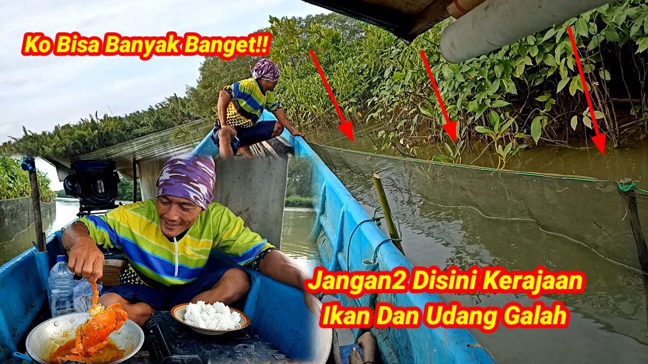 Luar Biasa Hasil Pasang Perangkap Kali Ini Langsung Masak Kepiting Kuah Rempah Merah