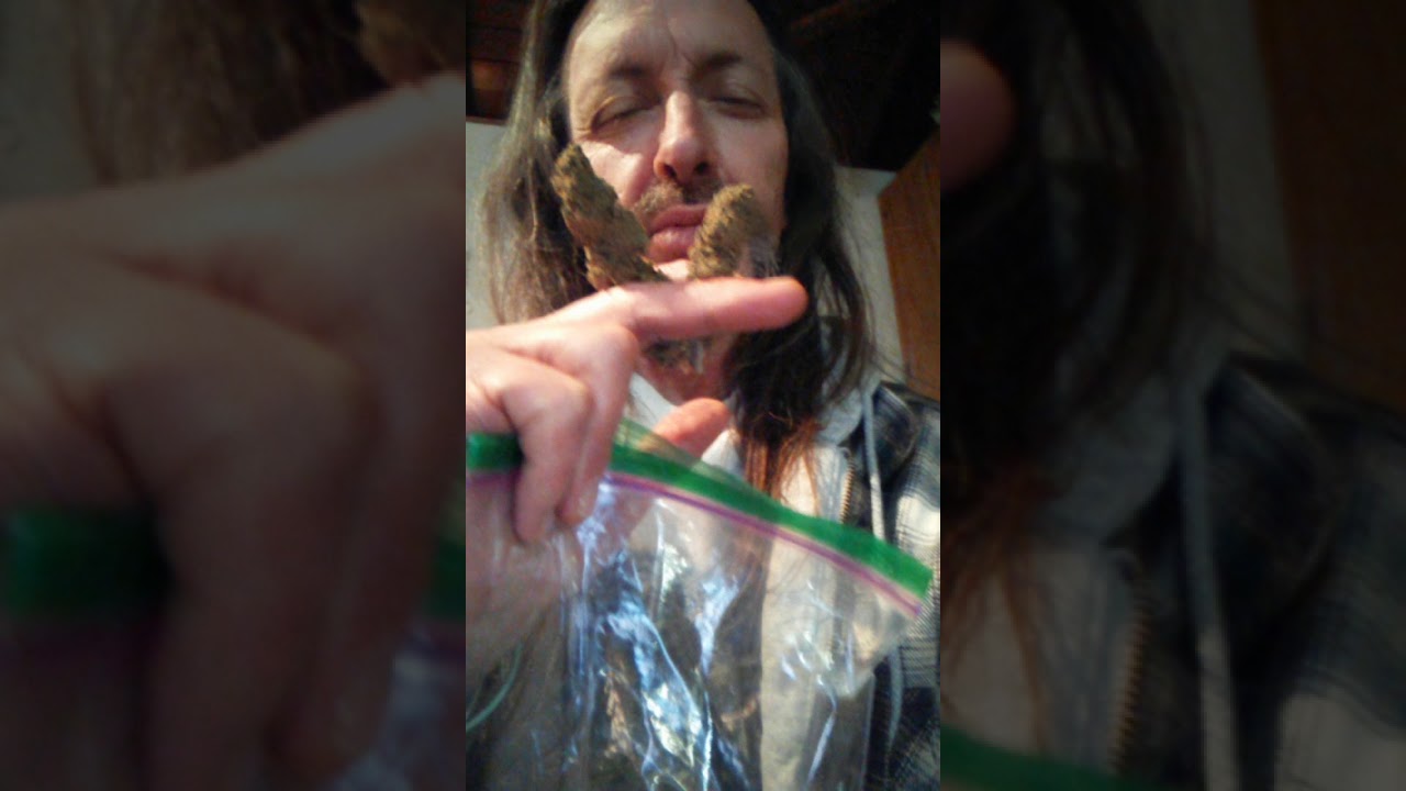 I got the big bag of buds