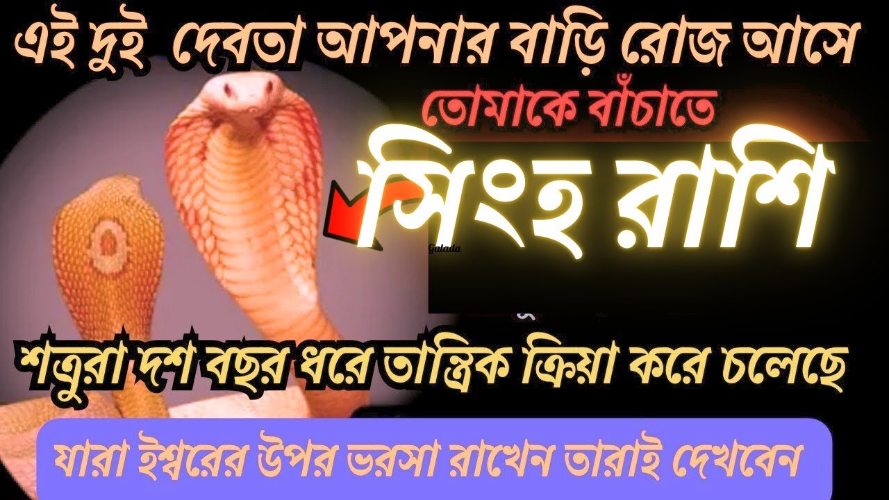 এই দুই দেবতা আপনার বাড়ি রোজ আসে সিংহ রাশি♌শত্রুরা দশ বছর ধরে তান্ত্রিক ক্রিয়া করছে #singhrashi 