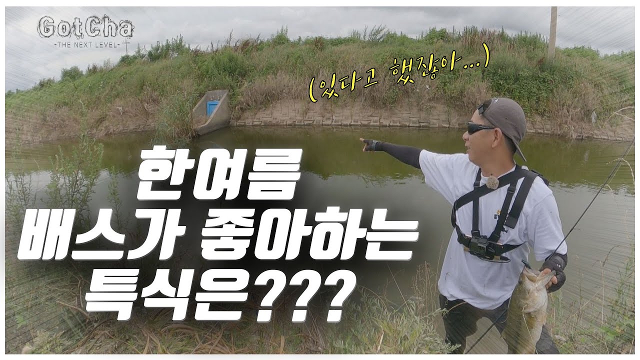 배스도 이건 못 참지!! 탑워터를 뽝!!! [feat.박성완] ep.36_korea bass