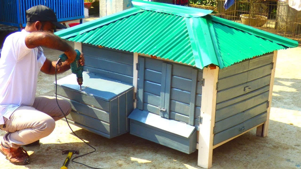 How do you build a chicken coop for your chickens | Chicken house designs and plans