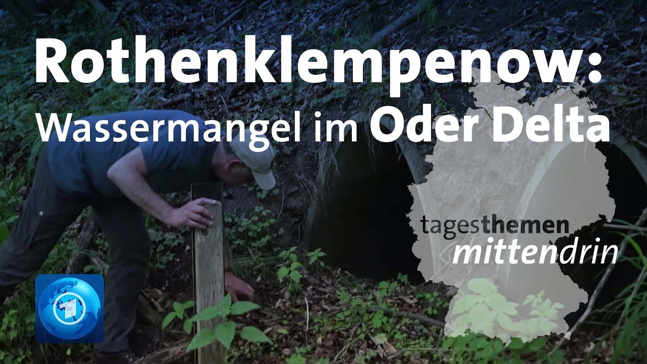 Rothenklempenow: Projekt gegen Wassermangel im Oder Delta | tagesthemen mittendrin