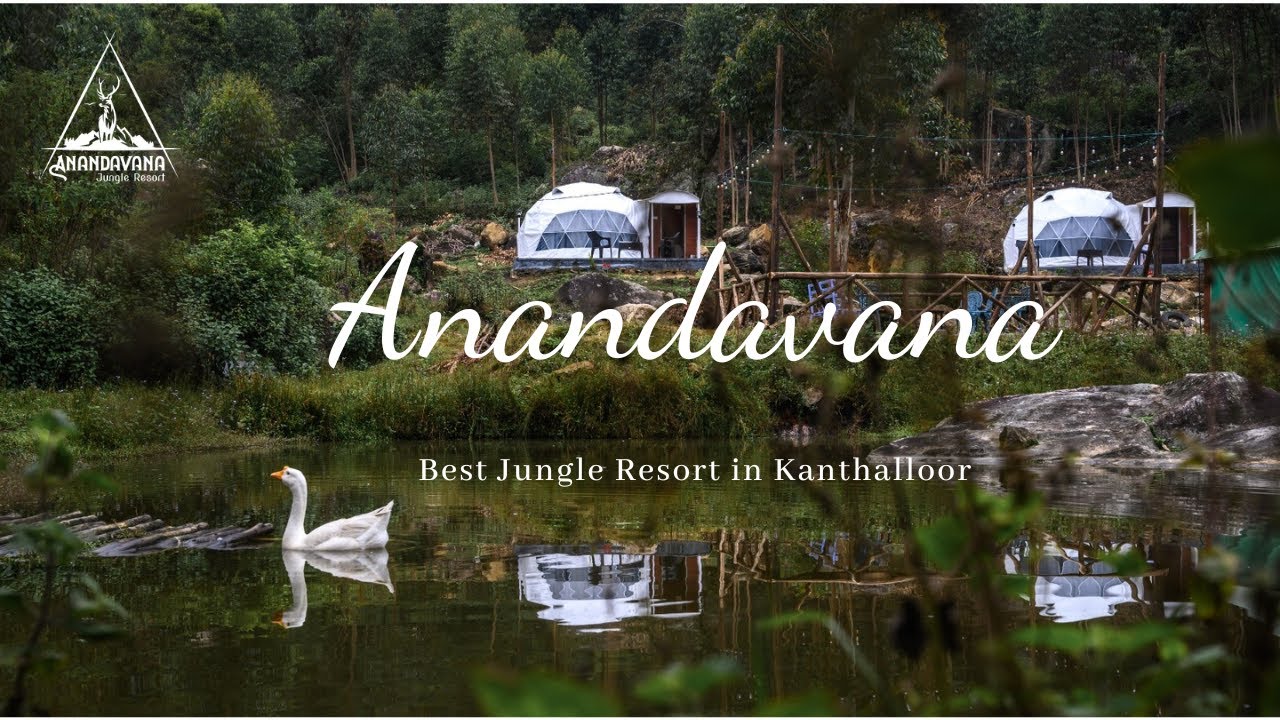 Anandavana Jungle Resort - The best Jungle Resort in Kanthalloor for Nature Lovers | Kerala Tourism