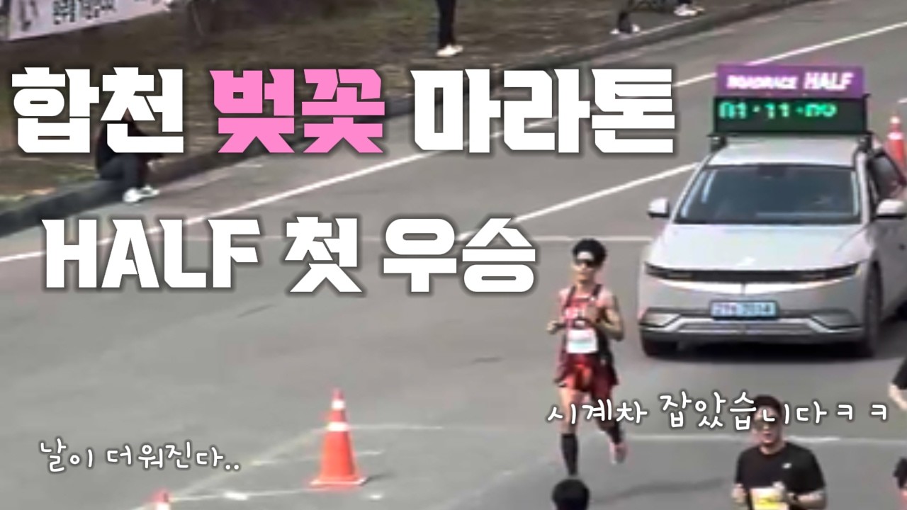 하프마라톤 처음으로 우승했습니다 / 2026 합천벚꽃마라톤 더워졌다..ㅠ