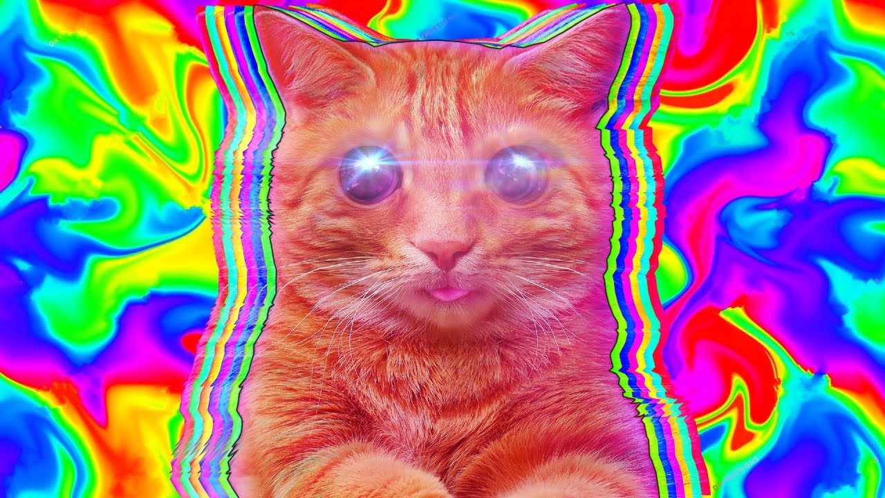 I Will Never Play Anything Weirder Than This - PUSS! [Full Game]