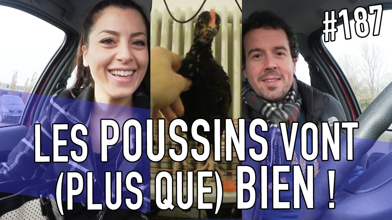 ON A FAIT QUOI, EN JANVIER ? POUSSINS & BONNE ANNÉE - Vlog de Loka #187