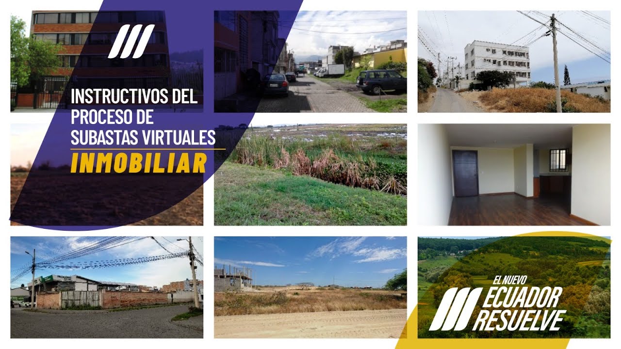 INSTRUCTIVO  DEL PROCESO DE SUBASTAS VIRTUALES 2024