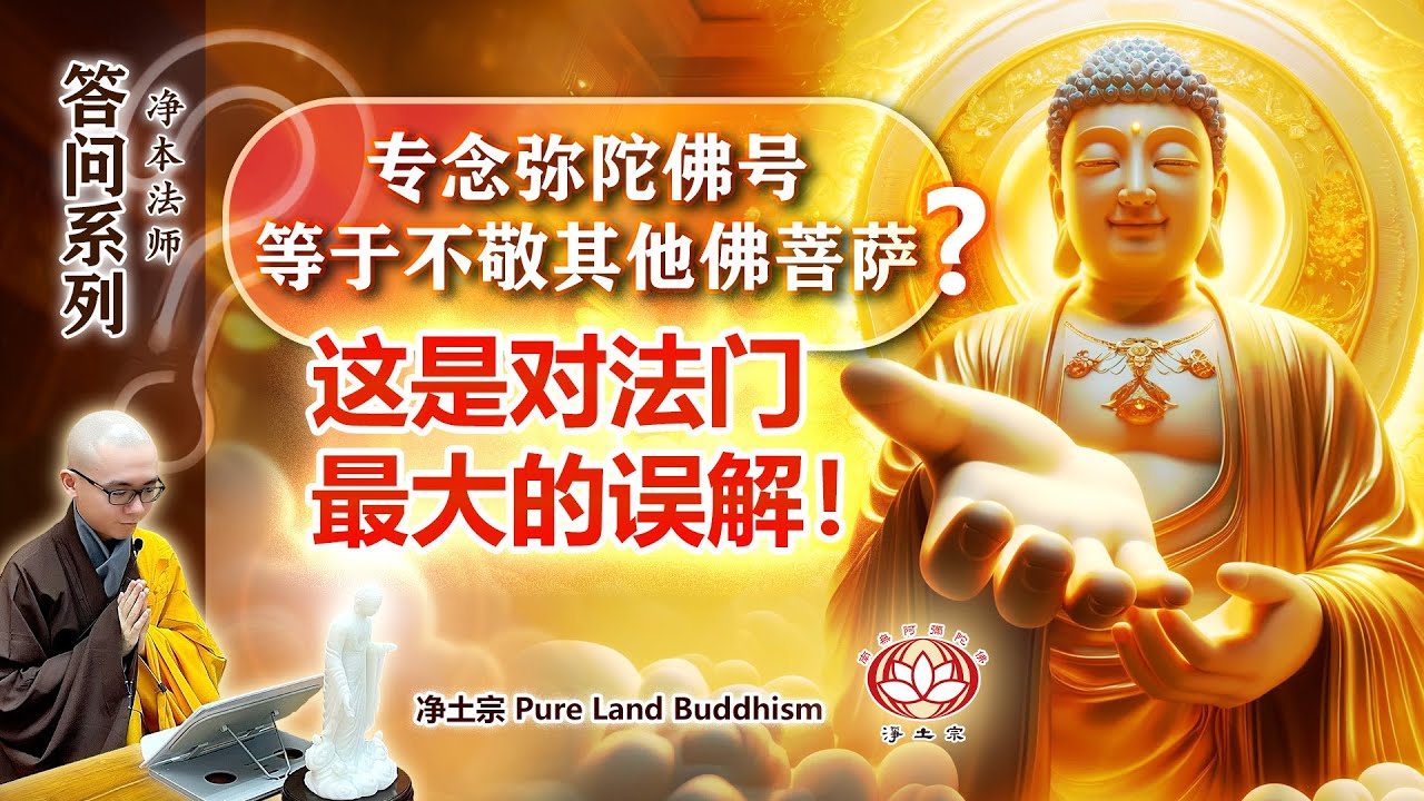 【答问】专念弥陀佛号等于不敬其他佛菩萨？这是对法门最大的误解！｜净本法师开示