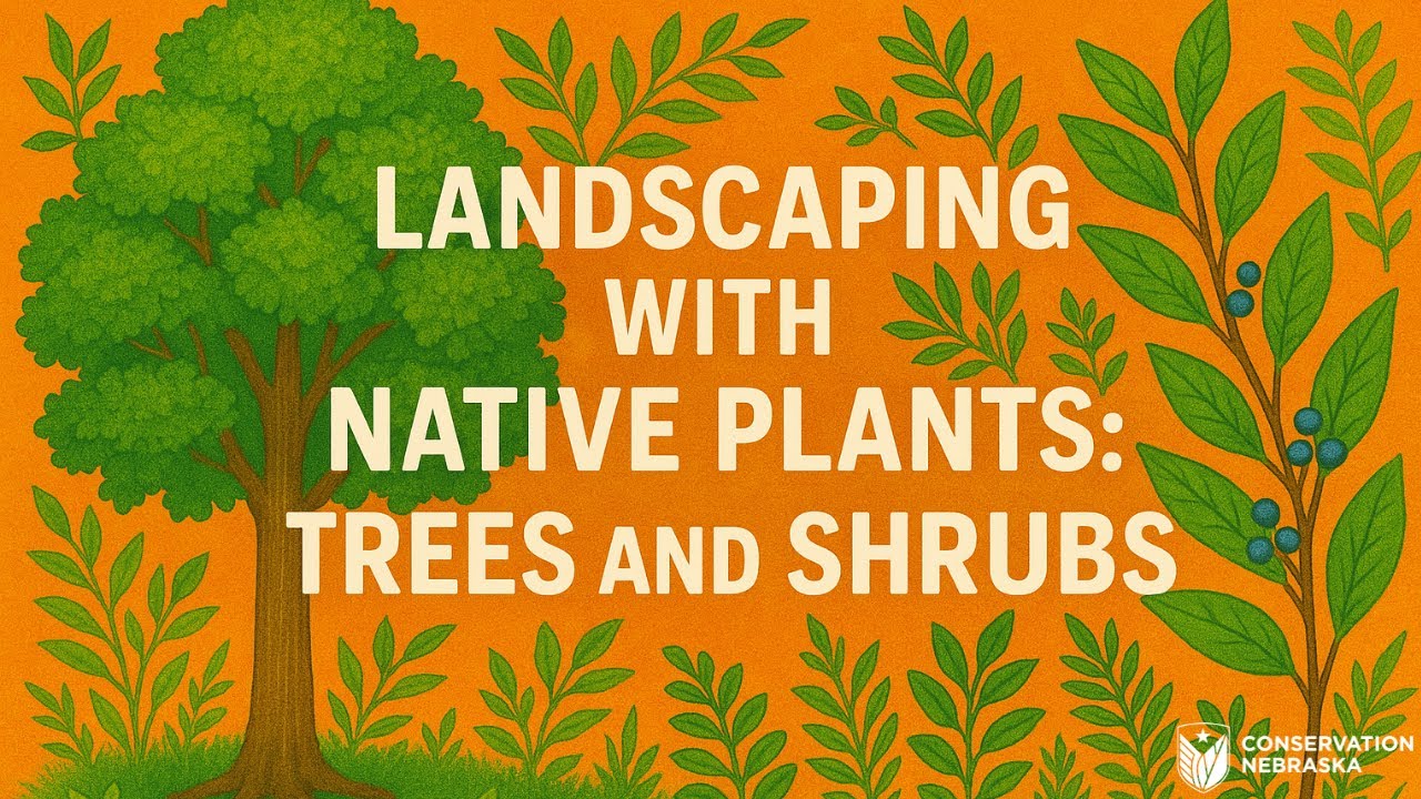 Landscaping with Native Plants: Trees and Shrubs