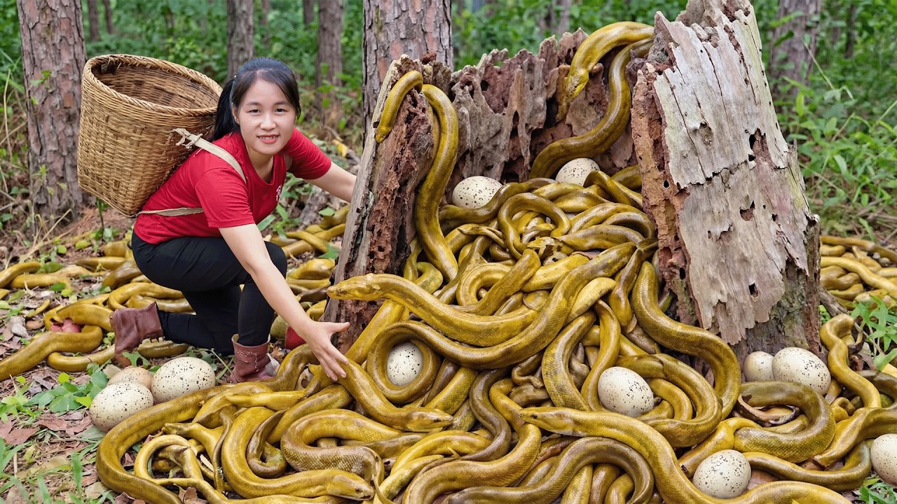 Harvest 10,000+ Giant Wild Eels & Go to Market Sell  150 Days From Egg To Survivor