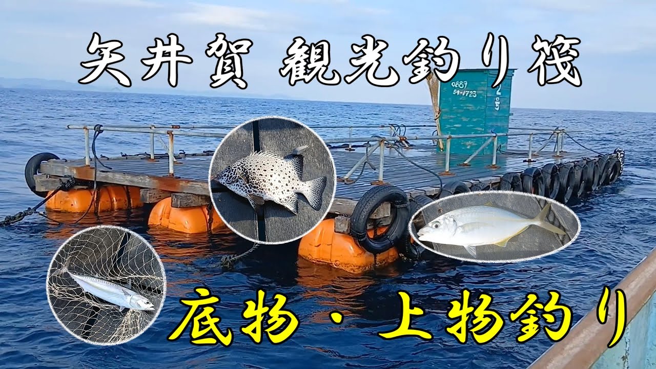 釣り筏で上物・底物釣り  --Fishing on a float fishing platform--
