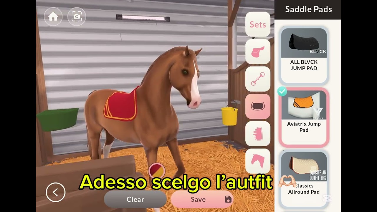 Nuovo cavallo *scelto da voi* + saluti speciali!