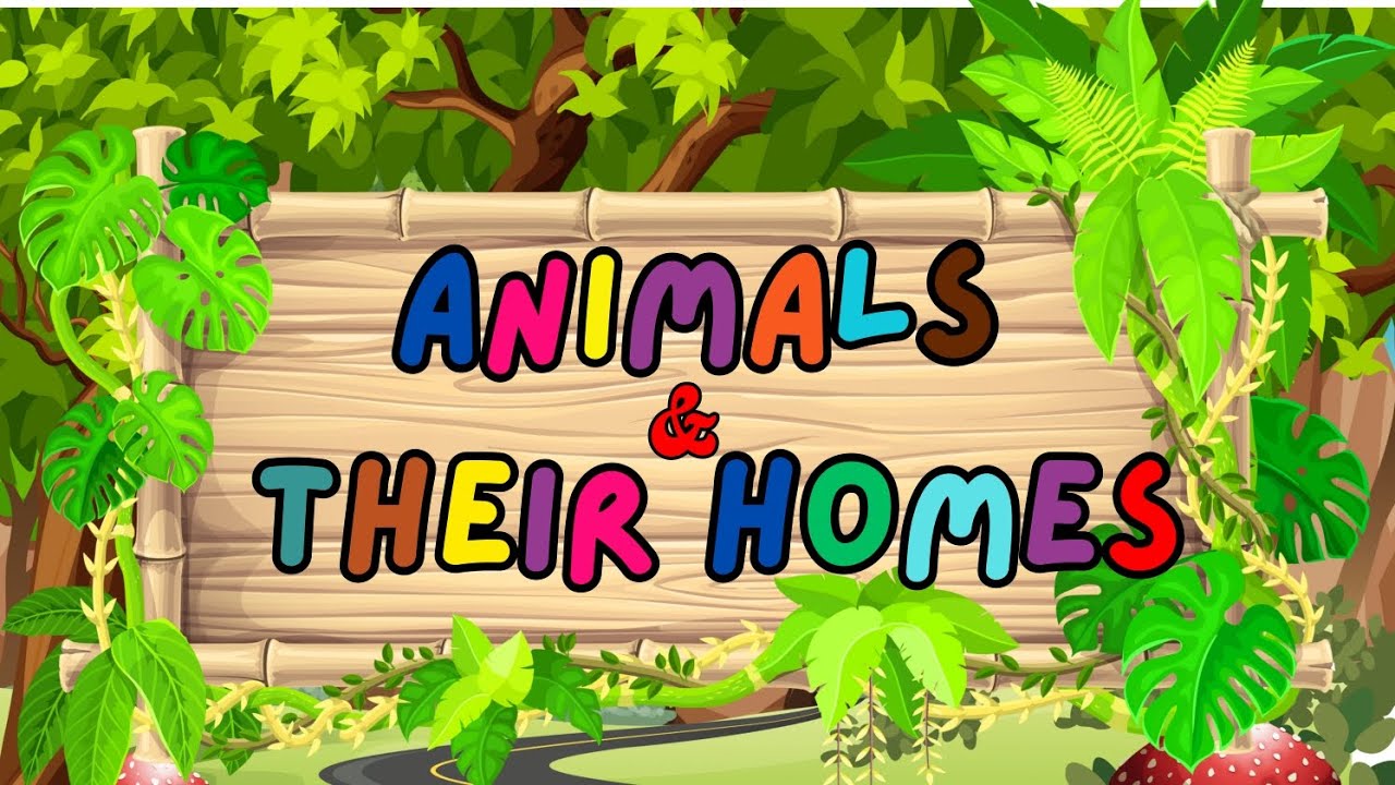 🏠 Where Do Animals Live? | Learn Animal Homes for Kids | Kids ABC