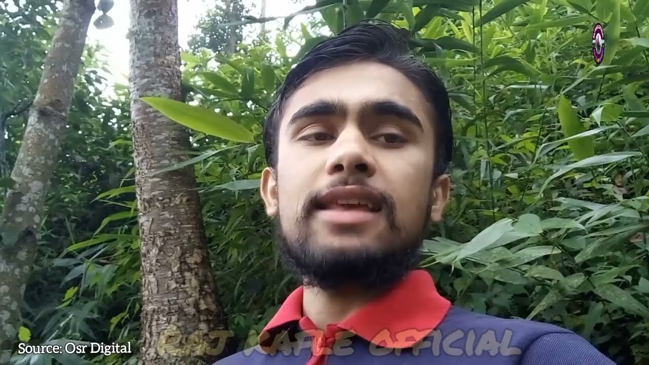 Buhari episode 241 || बुहारी भाग २४१ || buhari 241 || buhari review #buhari by Raj kafle official 