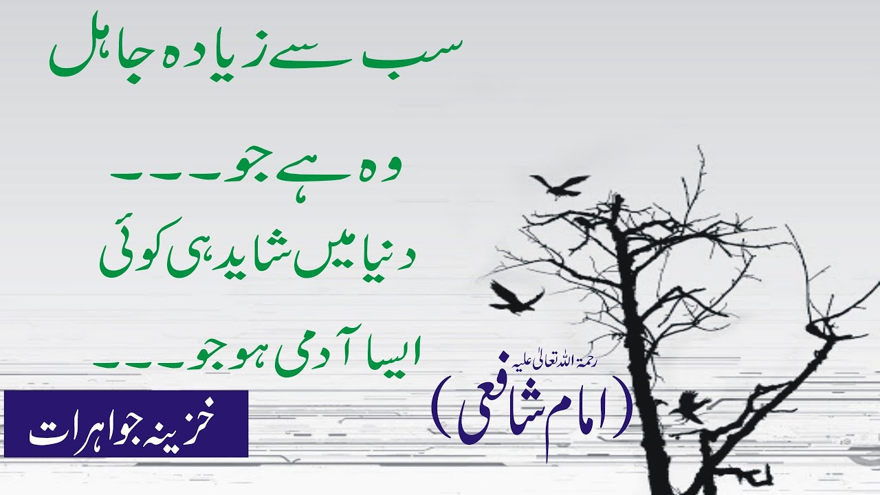 Imam Shafi ki sunehri batein / Urdu quotes / sunehry alfaz / golden words / quotes / Hijaaz tv