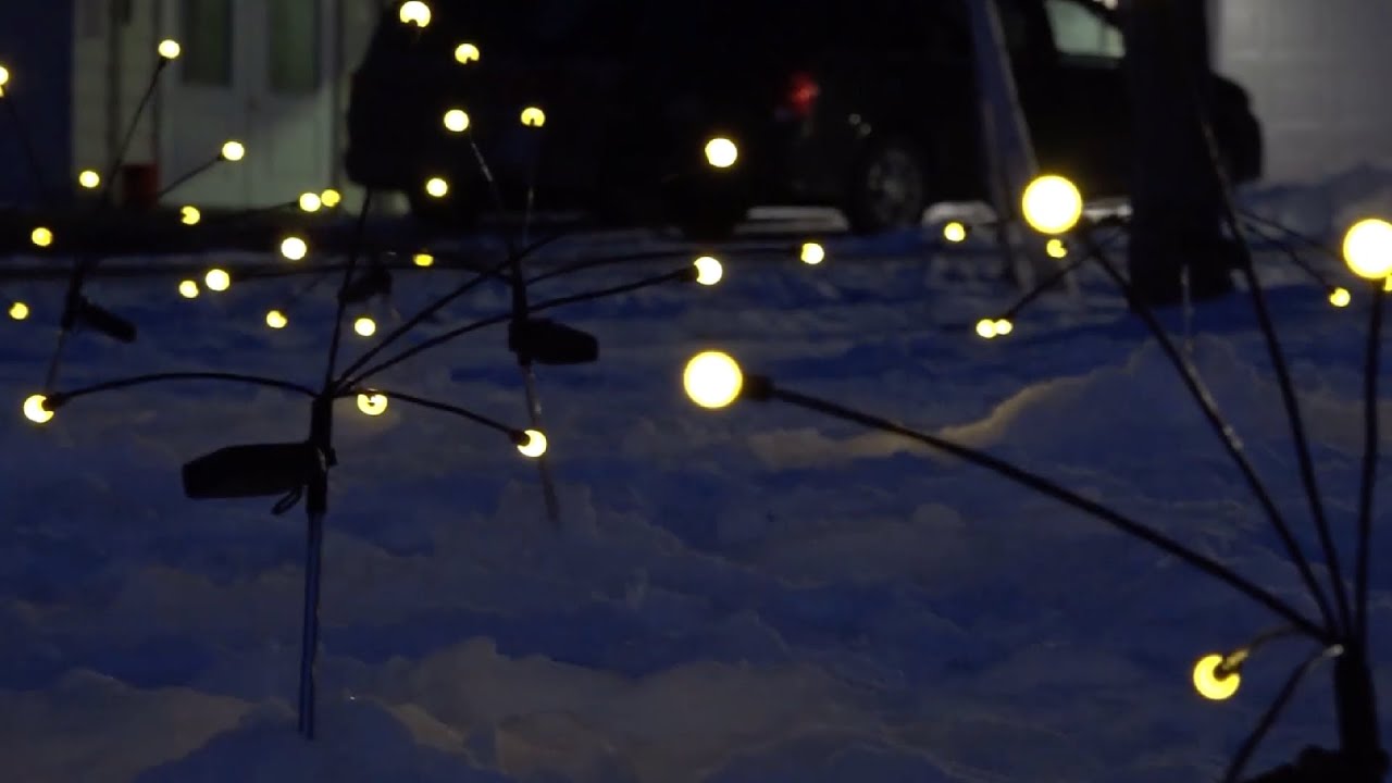 Мероприятие в честь Дня осведомленности о бездомности в Upper Valley Haven, 22.01.2026.