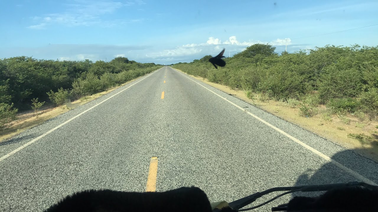 Chegando em remanso Bahia AO VIVO