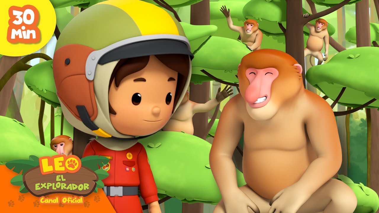 Haz amigos con los monos! 🐵 | Humanos y Animales | Leo, El Explorador | Animación